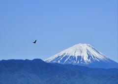 富士山と…