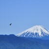 富士山と…