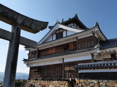 P1001651