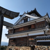 P1001651