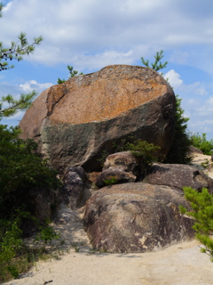 P1000090