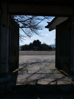 P1001695