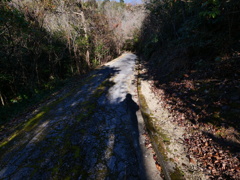 P1001501