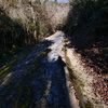 P1001501