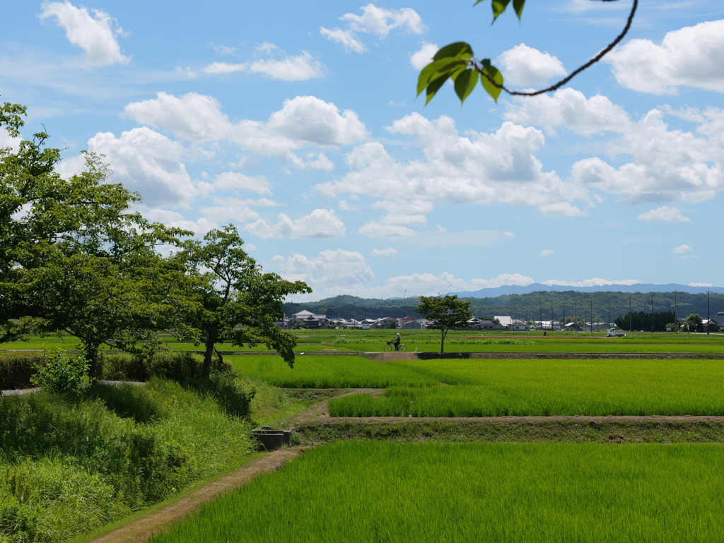 平池公園４（加東市）