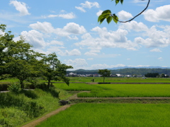 平池公園４（加東市）