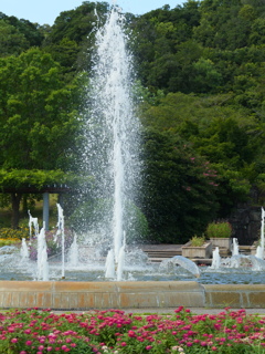 P1000231