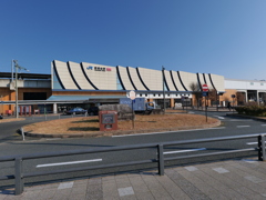 P1001607