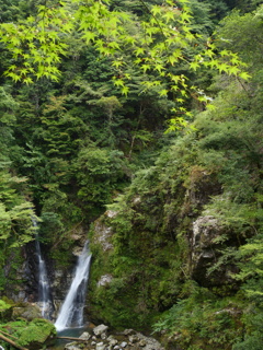 原不動森林公園8