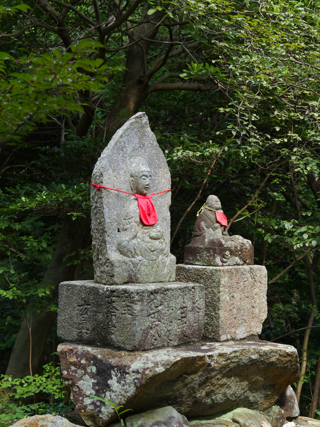 P1000031
