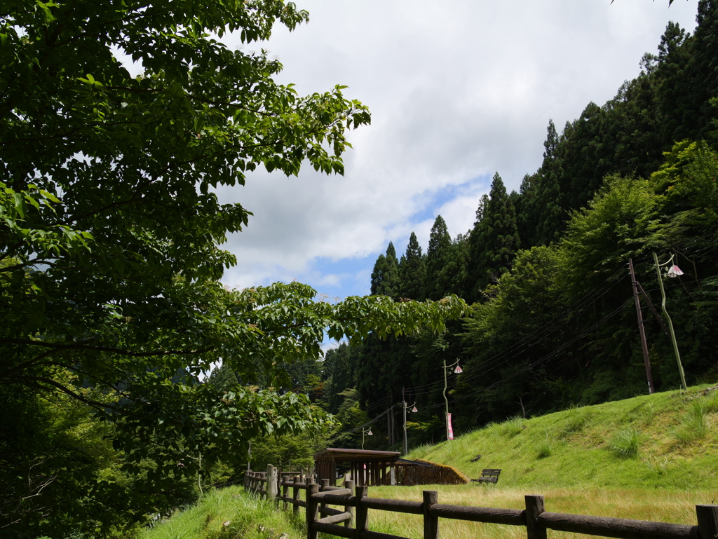原不動森林公園13