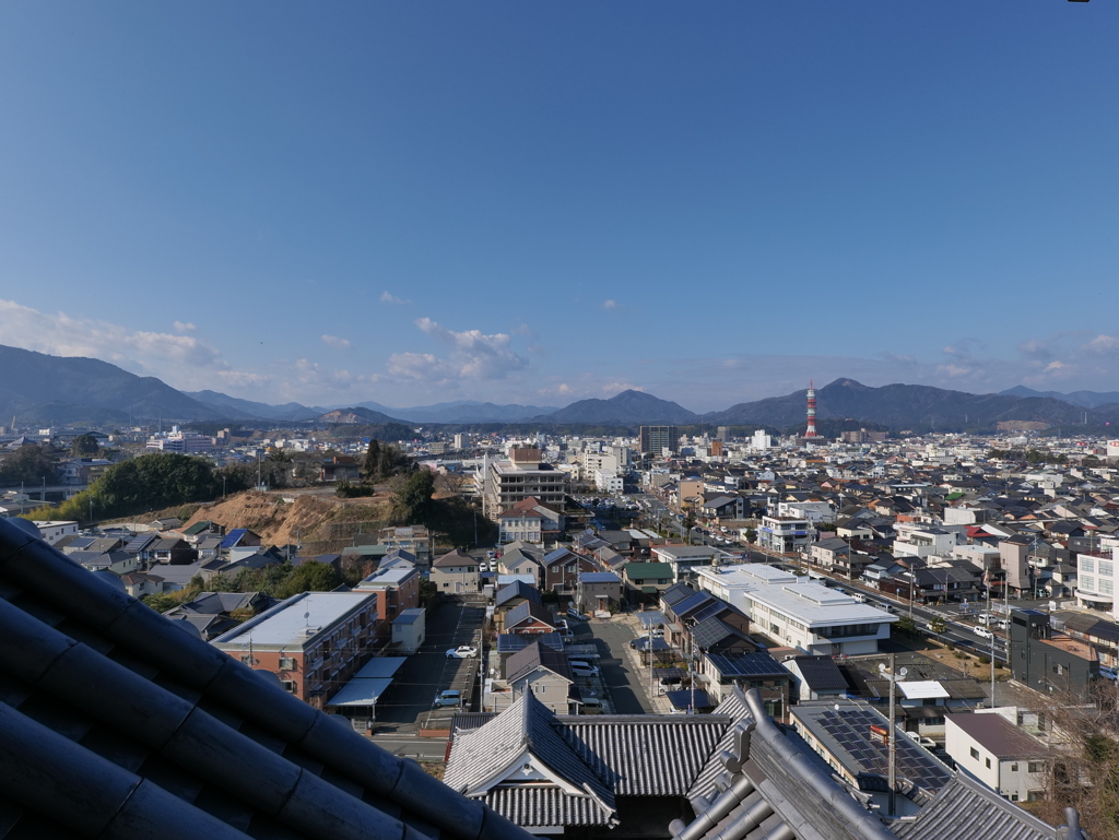 P1001668