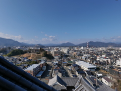P1001668