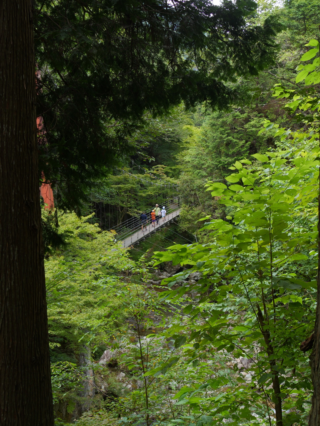 原不動森林公園7