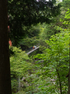 原不動森林公園7