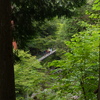 原不動森林公園7