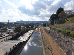 P1001747