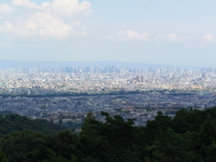 P1000006