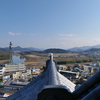 P1001663