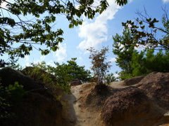 P1000101