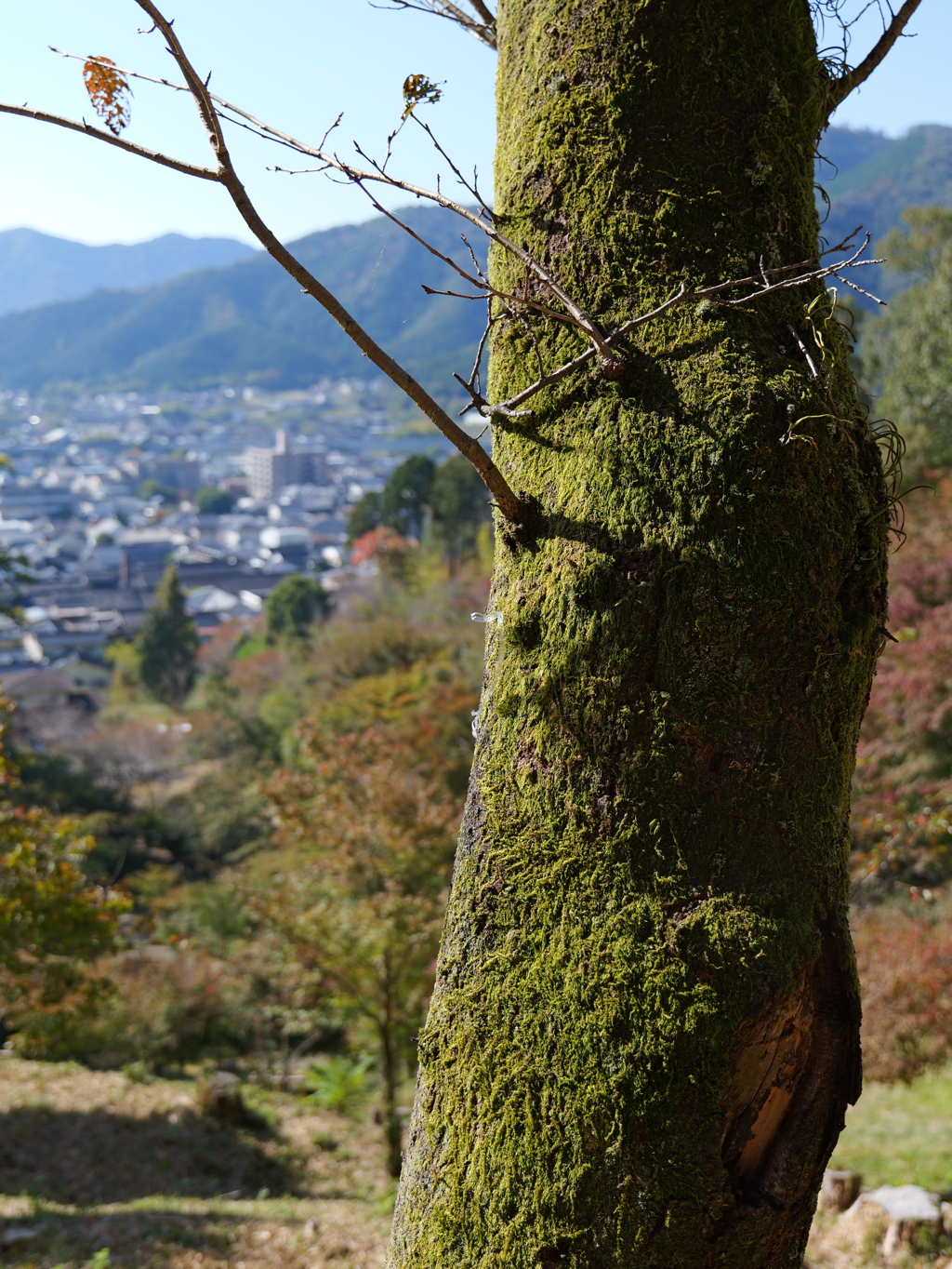 宍粟市最上山公園１６