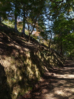 宍粟市最上山公園２３