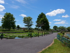 平池公園１６（加東市）