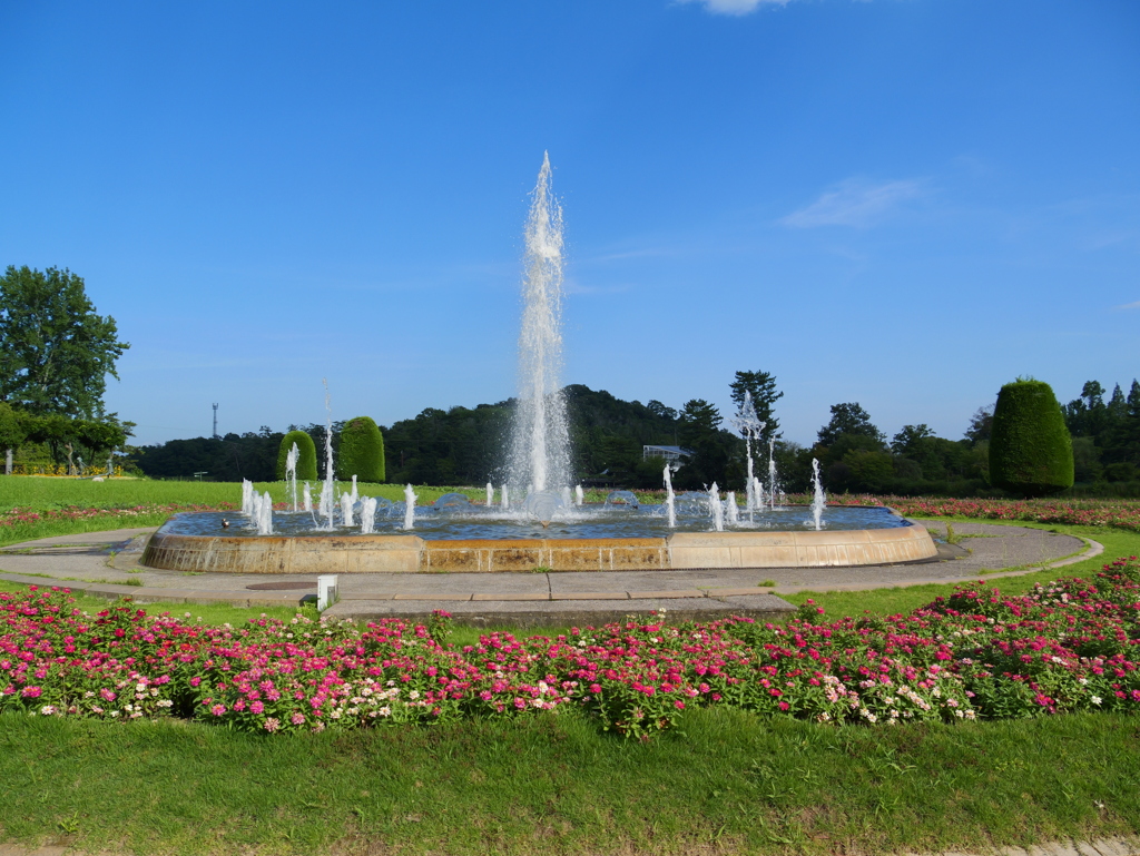 P1000222