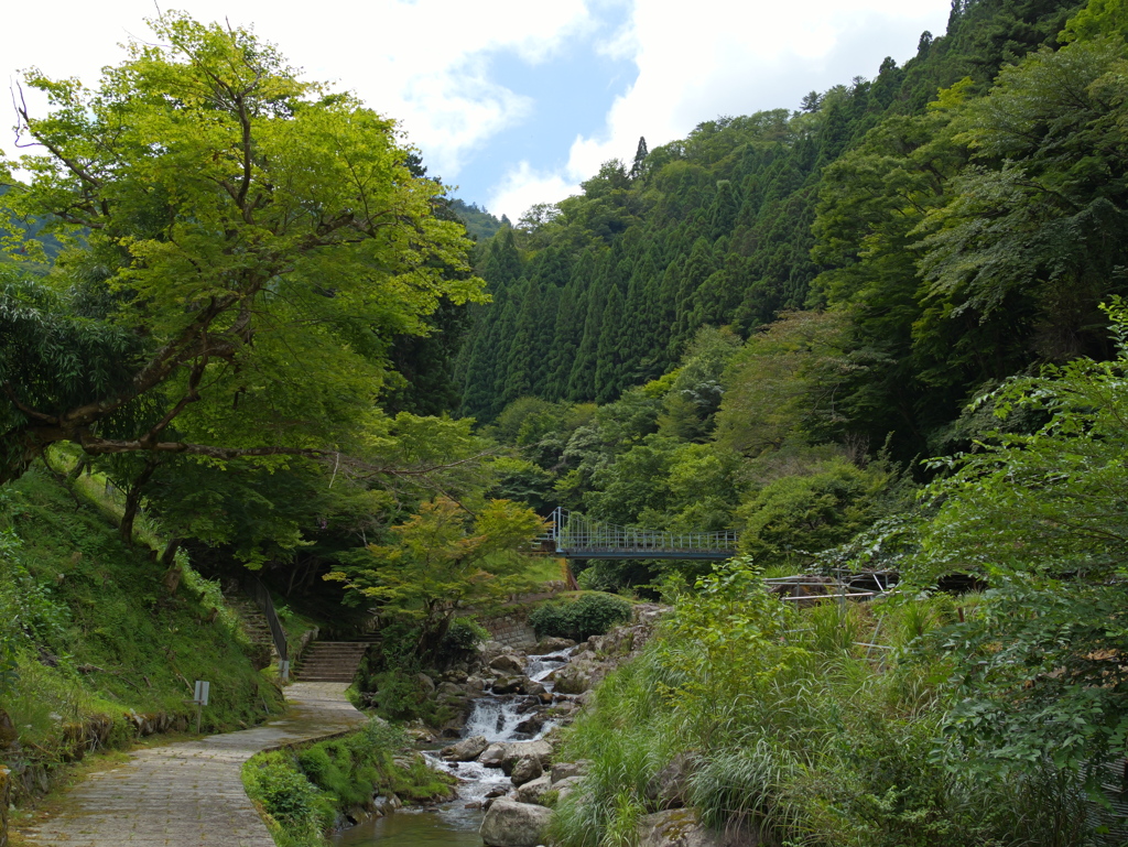 原不動森林公園17