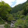 原不動森林公園17