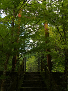 原不動森林公園10