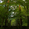 原不動森林公園10
