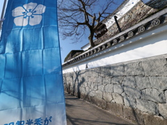P1001638