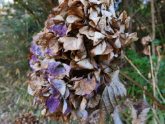 P1001514