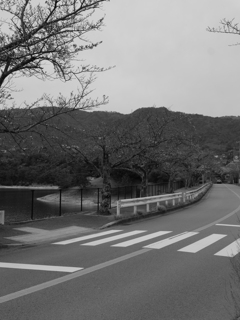 P1000500