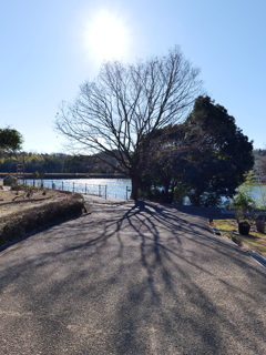 P1001555