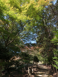 宍粟市最上山公園２６