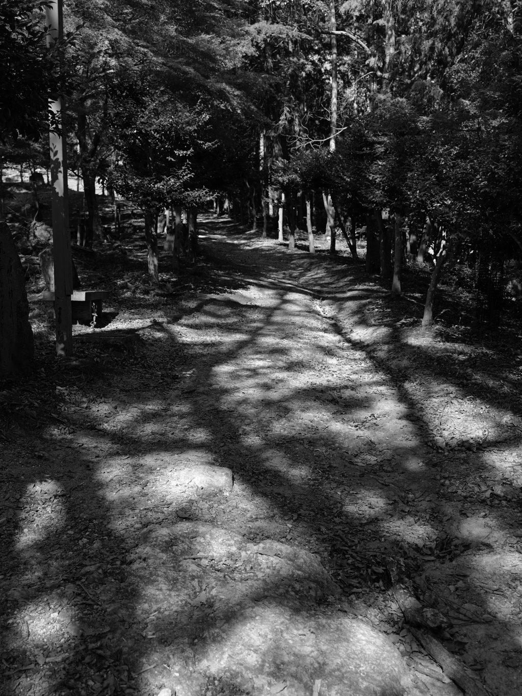 宍粟市最上山公園２５