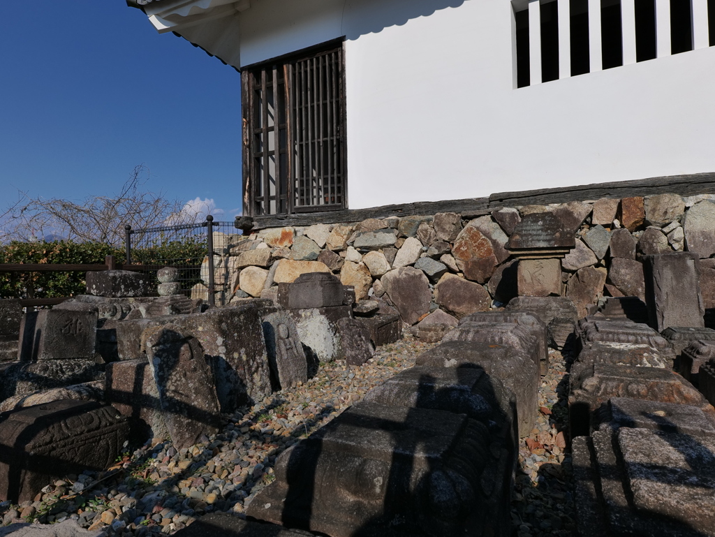 P1001703