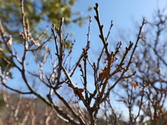 P1001541