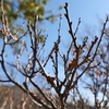 P1001541