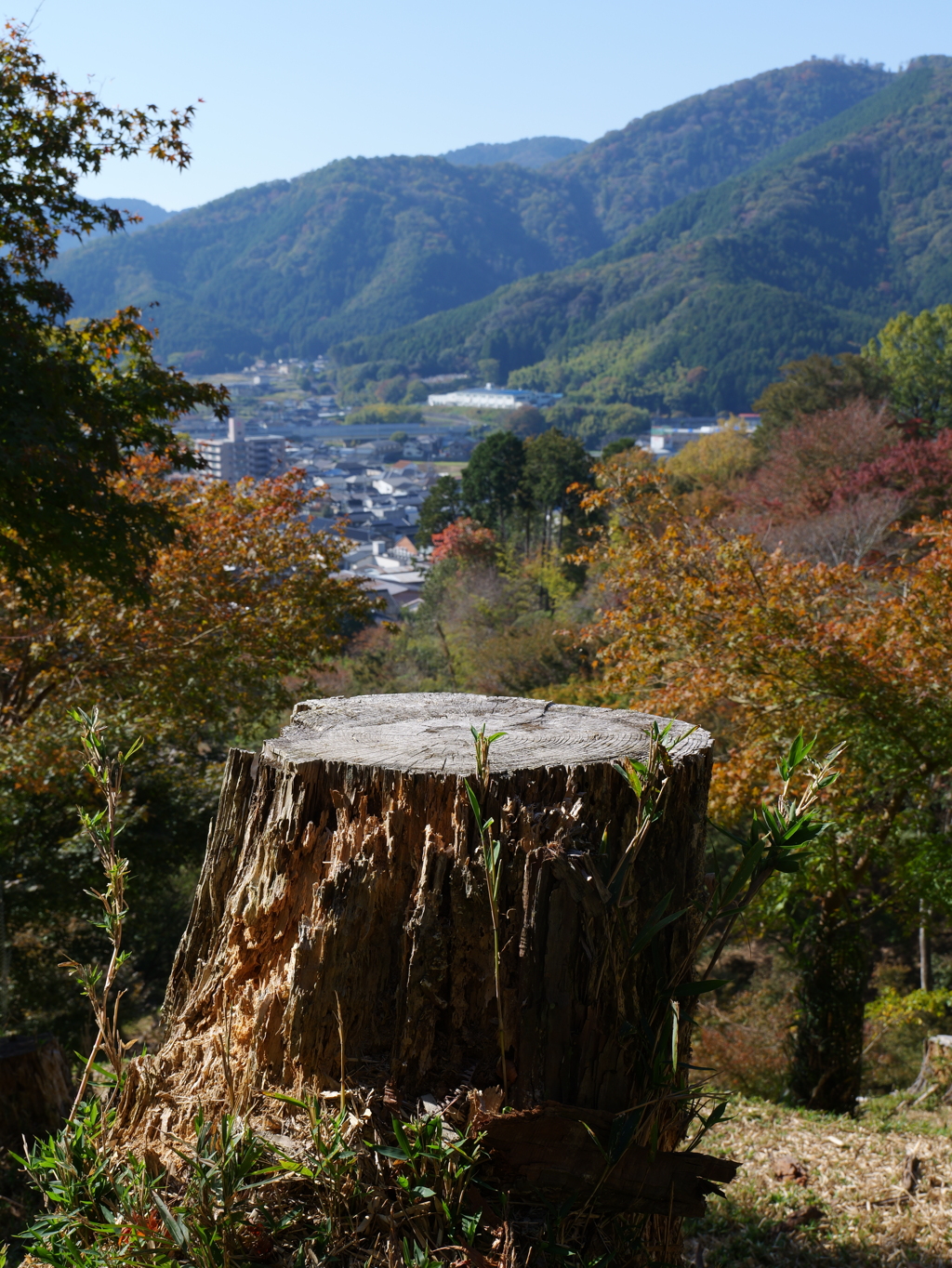 宍粟市最上山公園１７