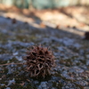 P1001398