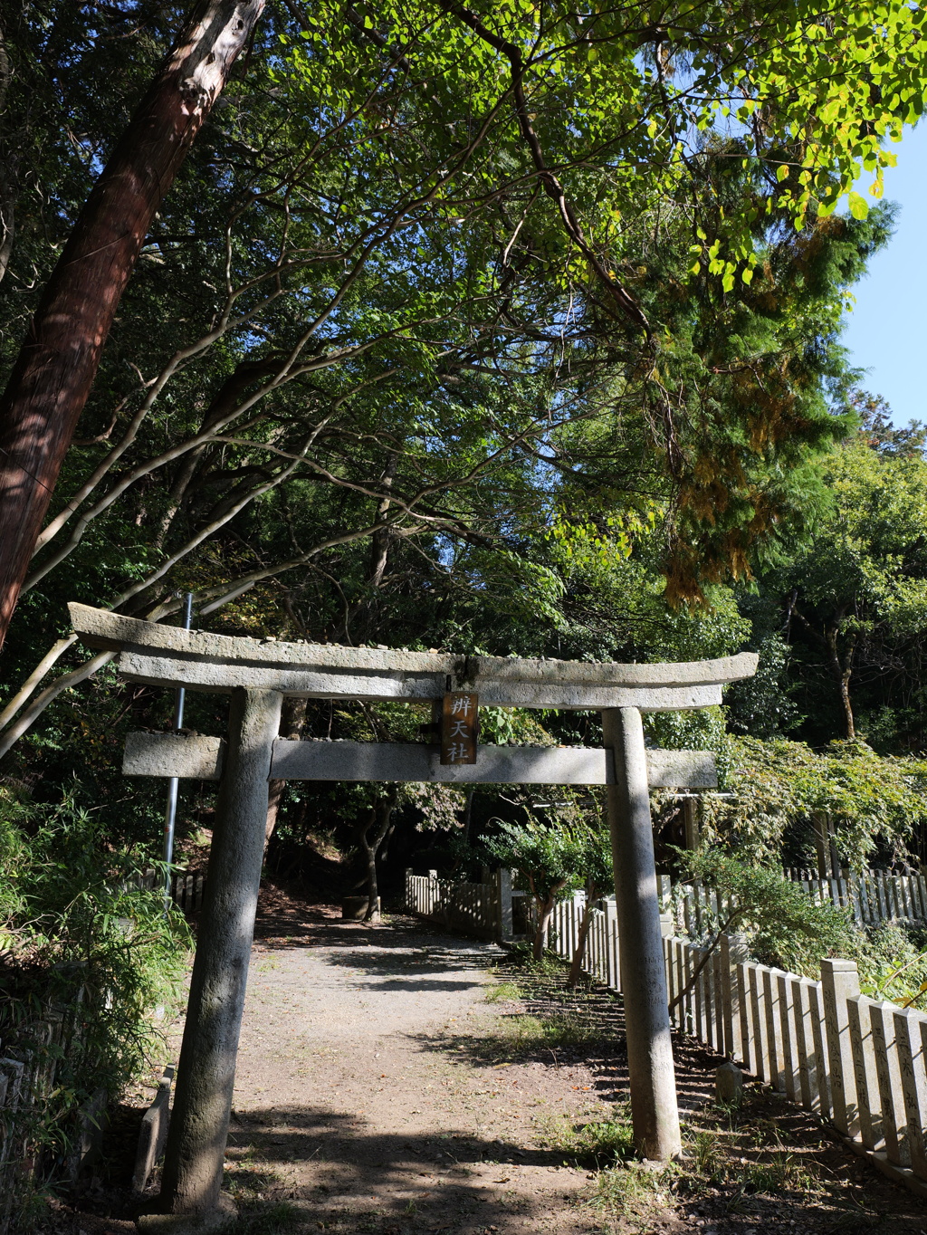 宍粟市最上山公園２