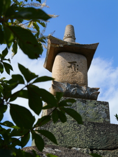 P1000105