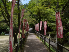 原不動森林公園4