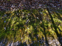 P1001495