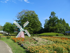 P1000152