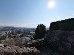 P1001686