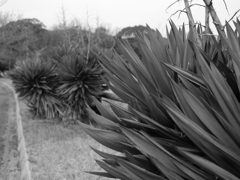 P1000494